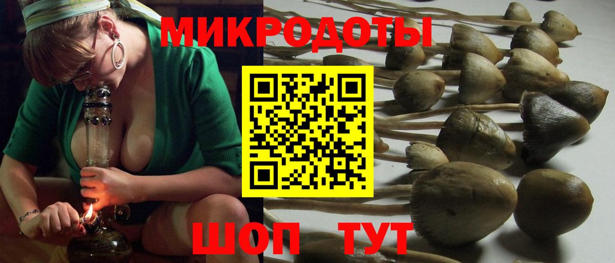 Псилоцибиновые грибы ЛСД Темрюк
