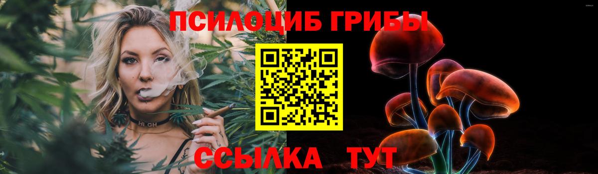 Темрюк  Галлюциногенные грибы MAGIC MUSHROOMS  Вход с VPN 